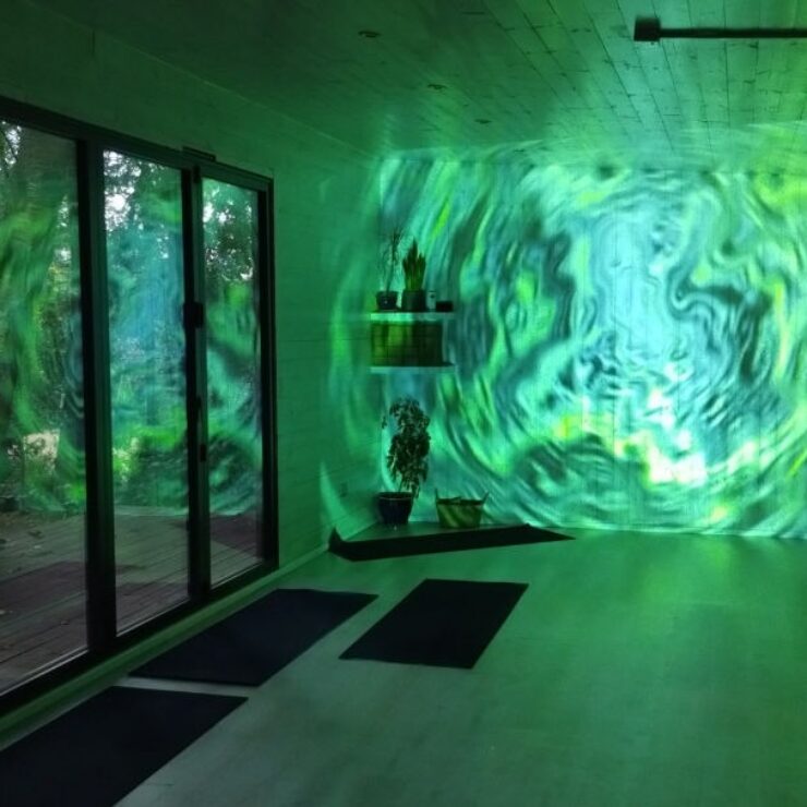 I AM YOGI X SYNTROPY    