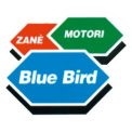 BLUE BIRD-500x500